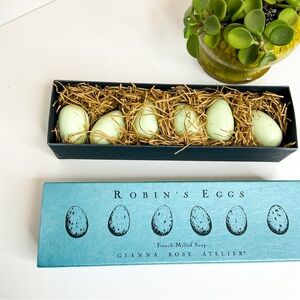 Robin's Eggs Soap Set - Blue